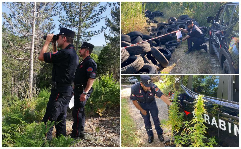 Forestali Cosenza ativita semestrale