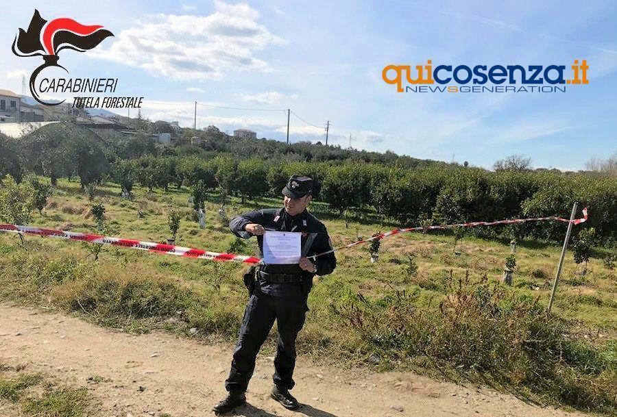 Corigliano-Rossano, sequestrati terreni occupati abusivamente. Tre persone indagate 53 Forestali Rossano