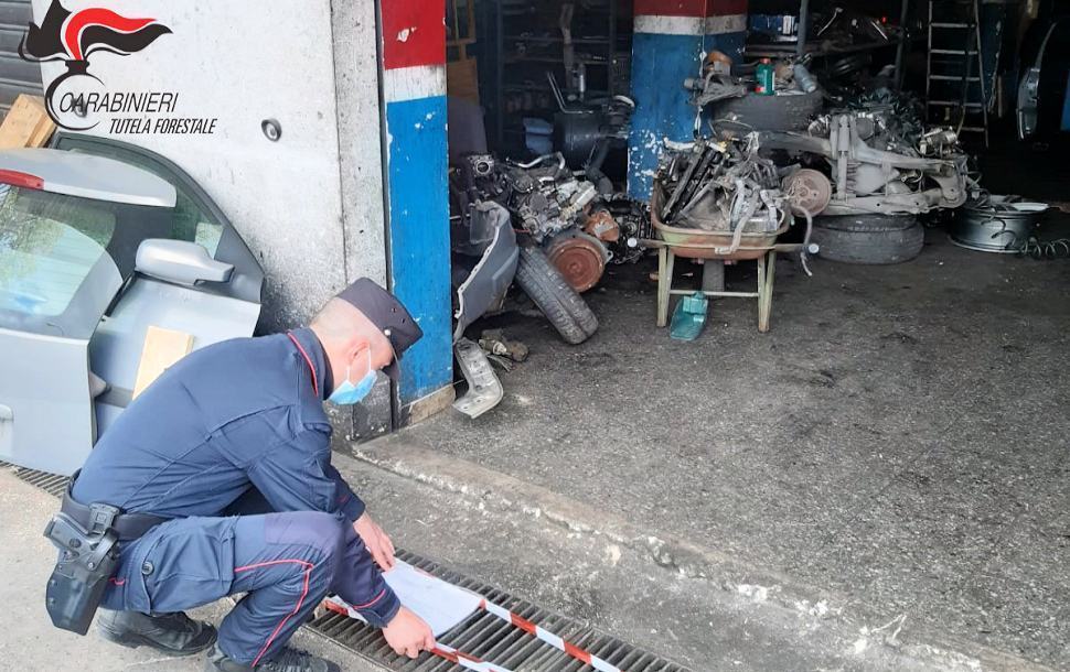 Forestali officina