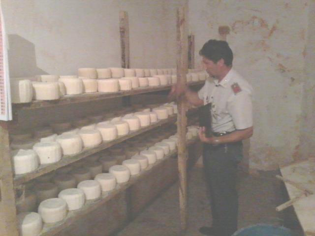 Formaggi1