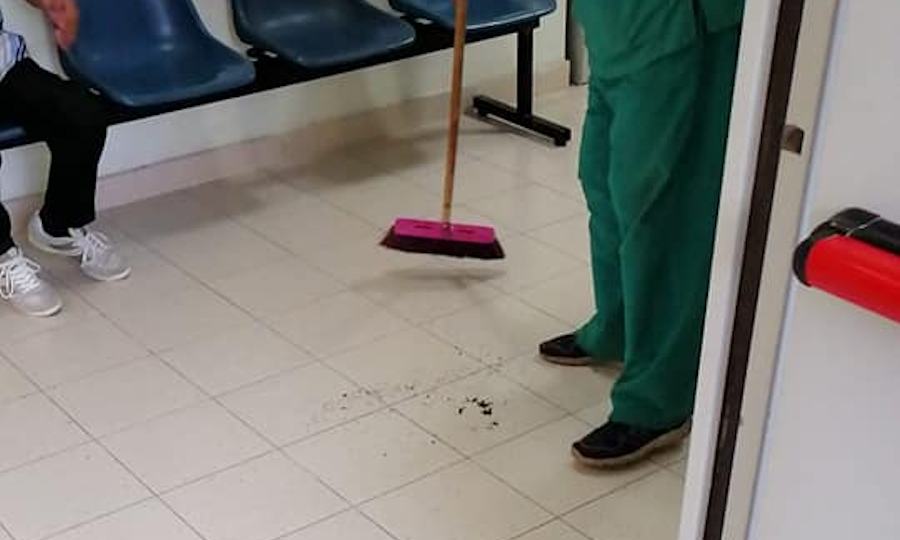 Formiche ospedale Reggio Calabria