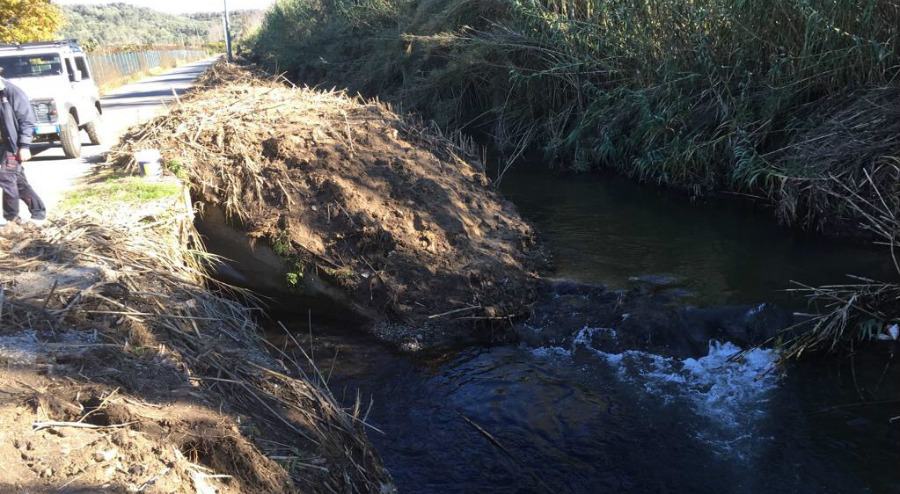 Viola i sigilli apposti al suo frantoio per gravi danni ambientali, arrestato un 50enne 51 Foto Fiume