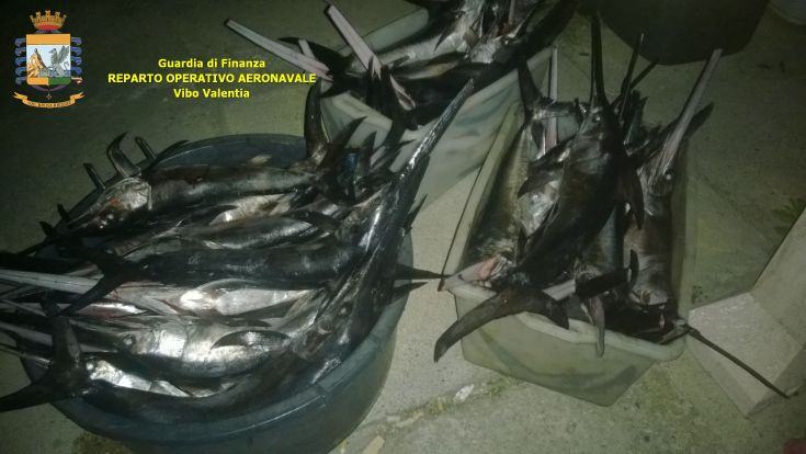 G.diF . Roan Vibo Valentia 03.12.2015 2