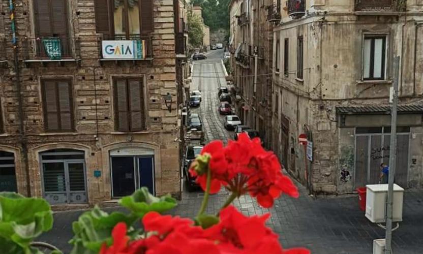Centro storico Cosenza, GAIA torna all'aperto: "spazio alla bellezza, anche se intorno tutto crolla" 53 GAIA