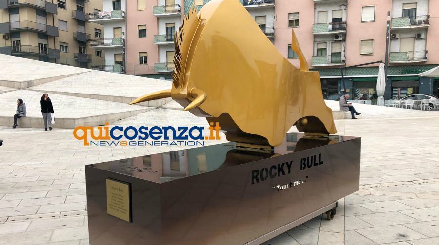 Gaudenti Toro Cosenza rocky bull 03