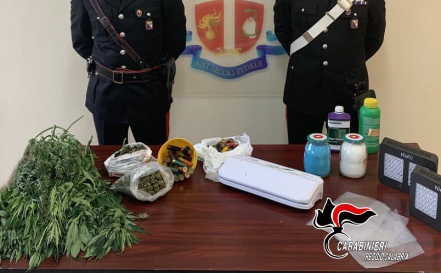 Gioiosa Jonica arresto marijuana carabinieri