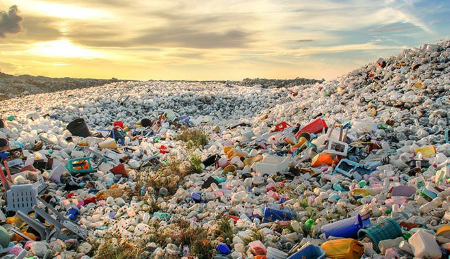 Giornata Mondiale Ambiente copertina