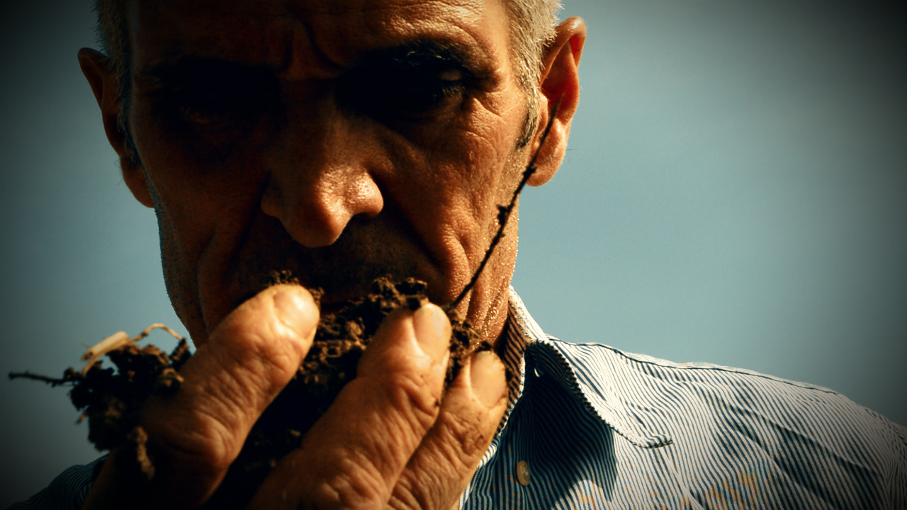 Giuseppe Di Stefano O paese do sole Voce e notte.00 00 16 18.Immagine001