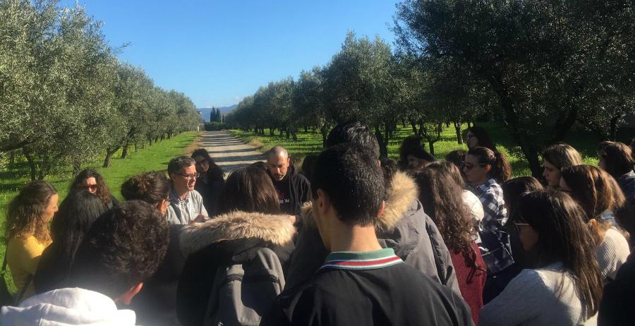 Gli studenti dellUnical a Castellace nei terreni confiscati ai Mammoliti