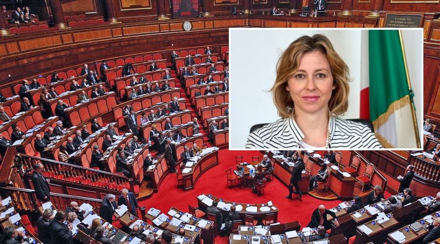Grillo Ministro sanita