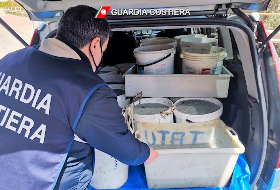 Nuovo maxi sequestro di "sardella" nel cosentino. In auto 460 Kg di bianchetto 68 Guardia Costiera 1 6