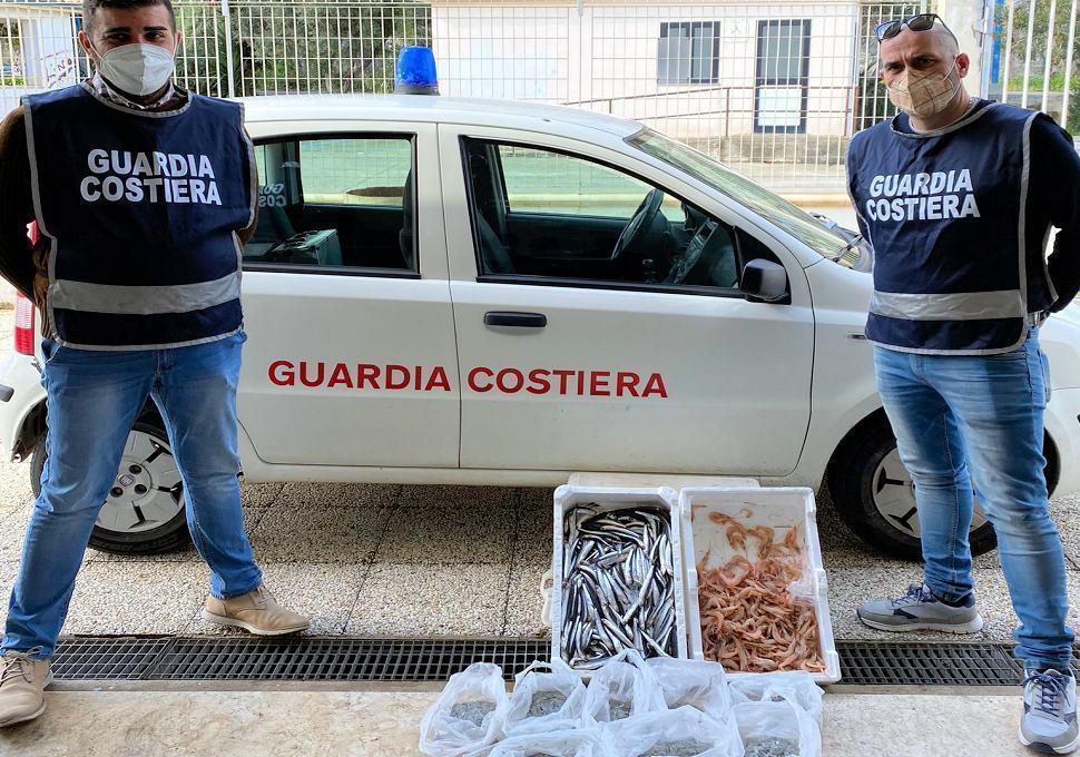 Guardia Costiera Sequestro Pesce
