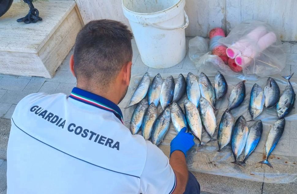 Guardia Costiera Tonni