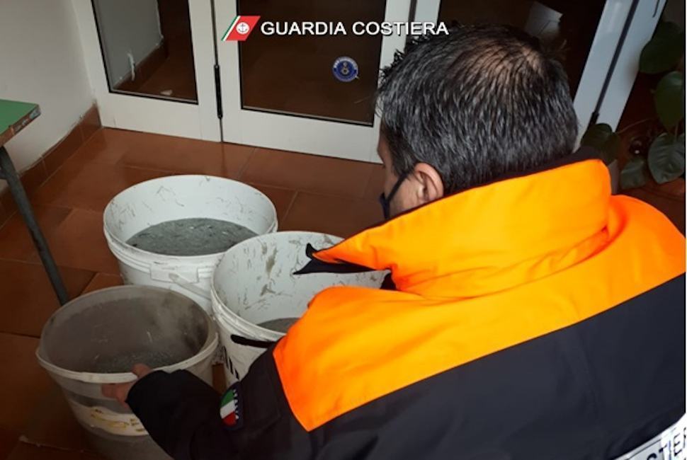 Beccato a vendere novellame in secchi di plastica. Sequestro da 25kg nel cosentino 51 Guardia Costiera sequestro novellama