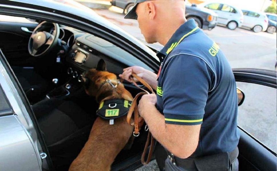 Guardia d Finanza cani 1