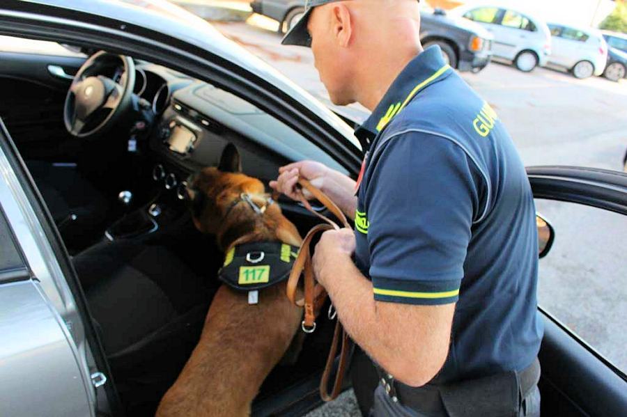 Guardia d Finanza cani