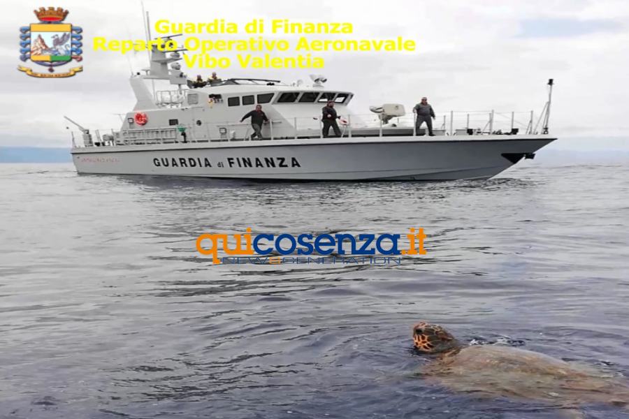 Guardia di Finanza caretta caretta