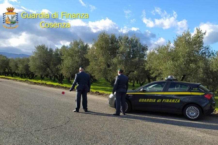 Guardia finanza cosenza falsi braccianti