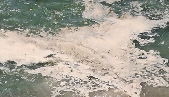 Guardia piemontese4 1