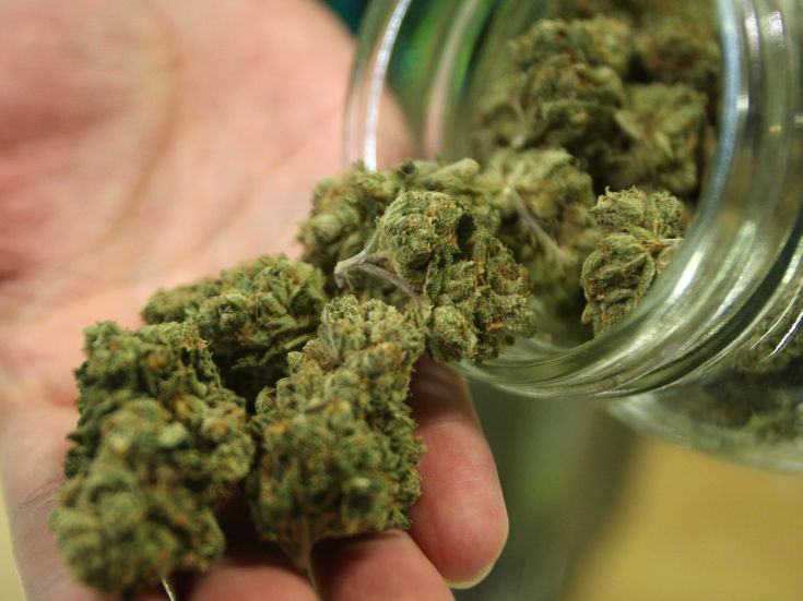 Tirreno, controlli dell'Arma: denunce a piede libero per possesso di droga 51 Harvest of Tempe Medical Marijuana Dispensary3