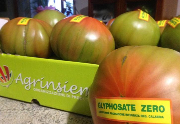 Coldiretti: Calabria prima in Italia per numero di aziende biologiche e terza per superficie 53 I Pomodori Glifosato zero