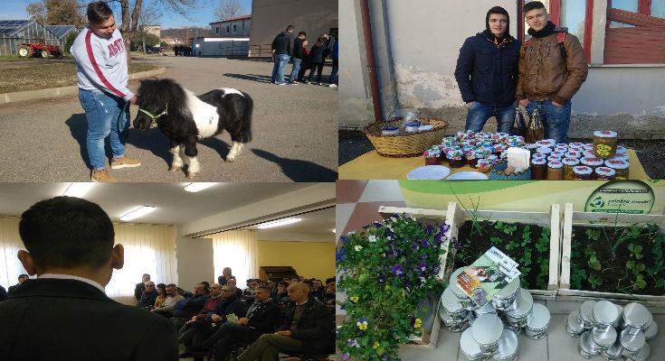 IIS TODARO COSENTINO CALABRA MACERI