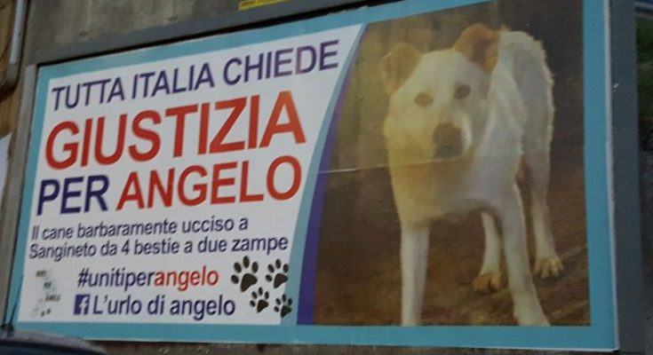 Angelo manifesto autostrada