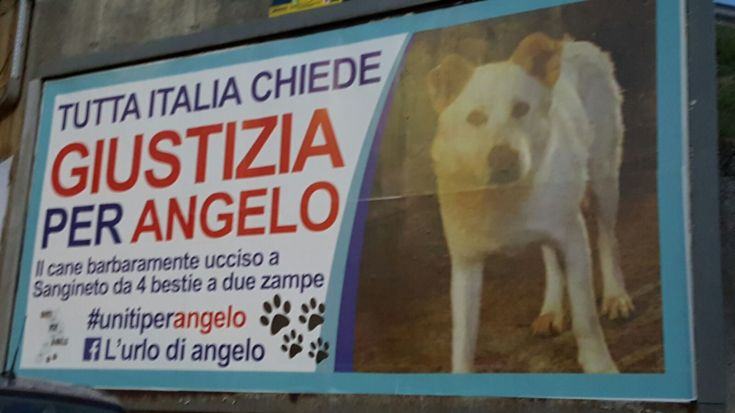 FOTONOTIZIA - Gigantografia di 'Angelo' nei pressi dello svincolo autostradale di Cosenza Nord 51 IMG 20161006 WA0001
