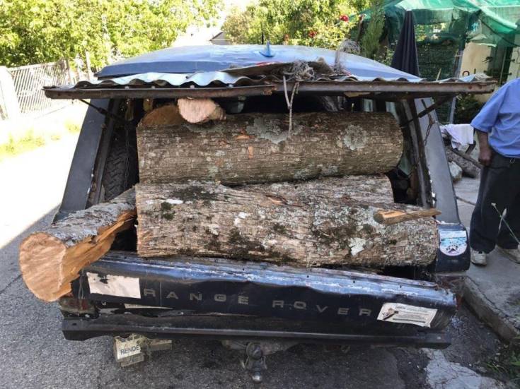 furto legna montalto