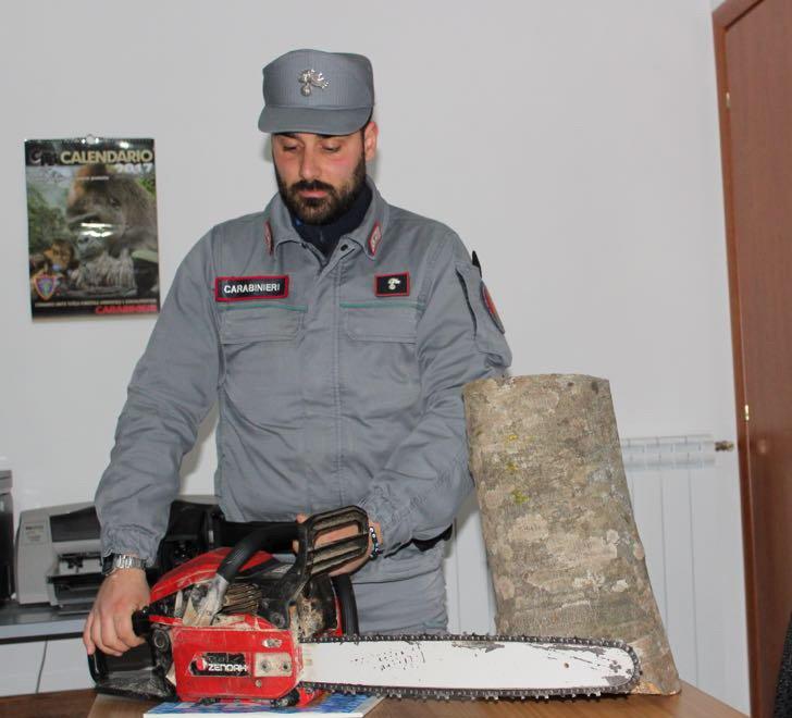 Ignoti abbattono i faggi del Parco Nazionale della Sila, uomo sorpreso a rubare legname 53 IMG 20180409 WA0004