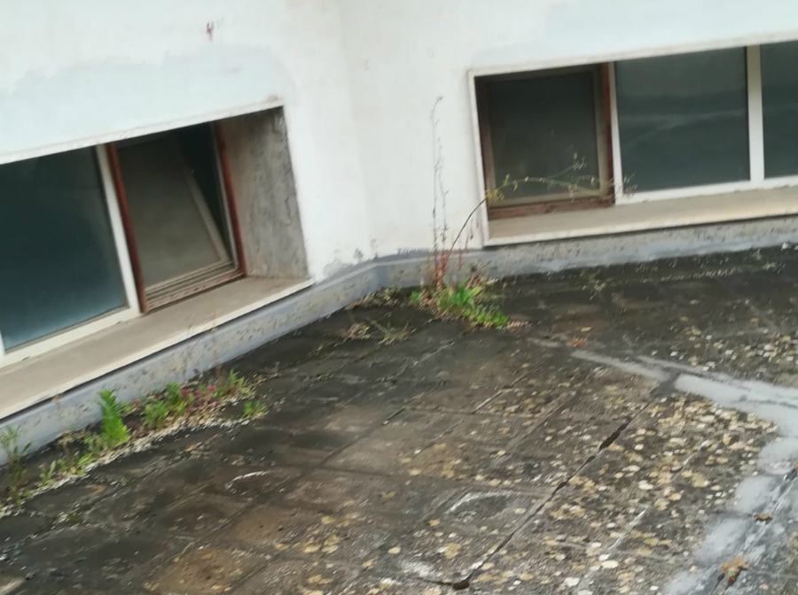 Arcavacata, scuola dell'infanzia: i genitori lamentano poca sicurezza per i figli (Foto) 74 IMG 20180727 WA0020