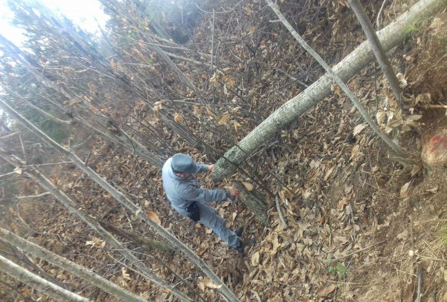 Acri, furto di legna in un bosco privato: due arresti 55 IMG 20181208 WA0014