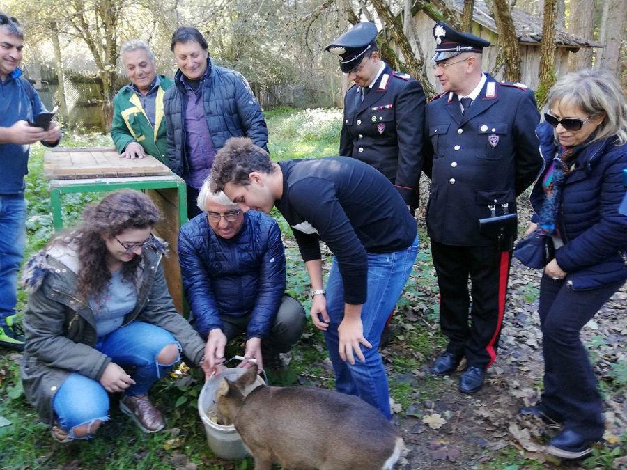 I Carabinieri Forestali aprono le porte di “Foresta Amica 2018” 63 IMG 20181027 124118