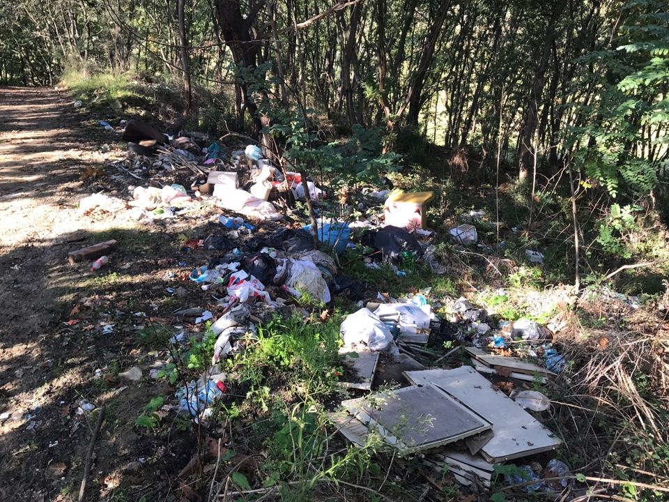 La strada tra Piano Monello e Linze è di fatto la 'nuova discarica di Rende' (FOTO) 59 IMG 7201 12 11 18 11 46