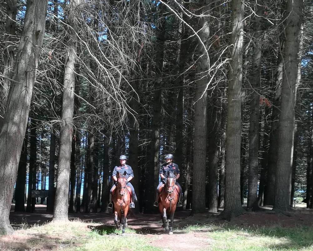 Carabinieri a cavallo pattugliano boschi, campagne e aree impervie 57 IVLQ4730 1