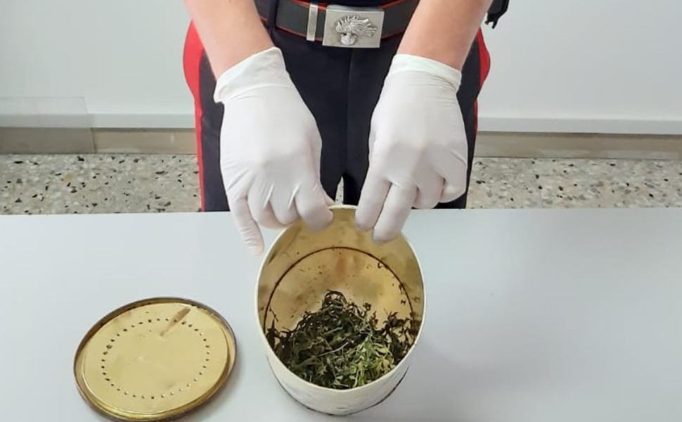 Rogliano: la droga nascosta in cantina, denunciato un 31enne 51 Immagine 1 1 1