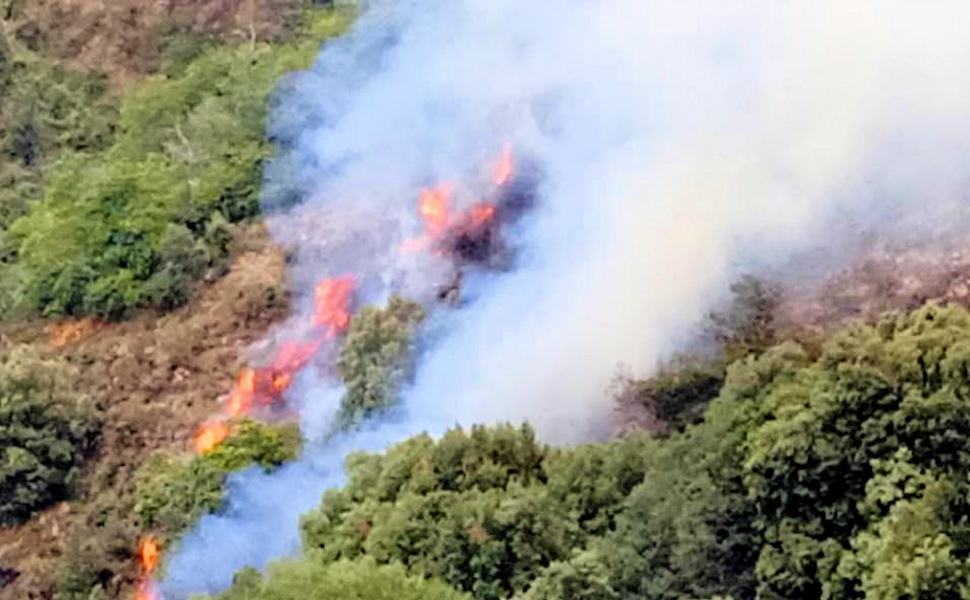 Incendi senza sosta, nel Parco nazionale d'Aspromonte c'è un fronte ancora vasto 51 Incendi 2