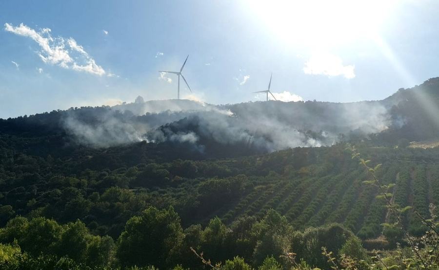 Incendi Calabria verde