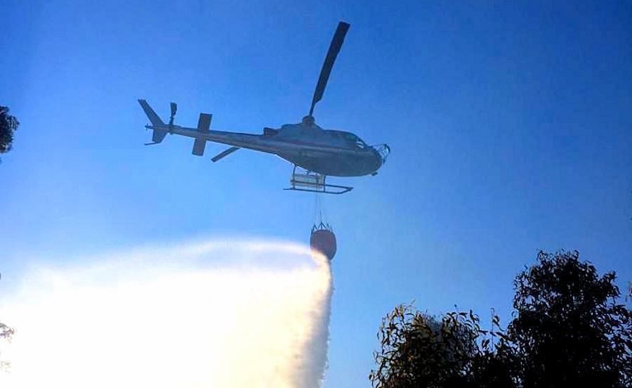 Incendi Calabria verde2