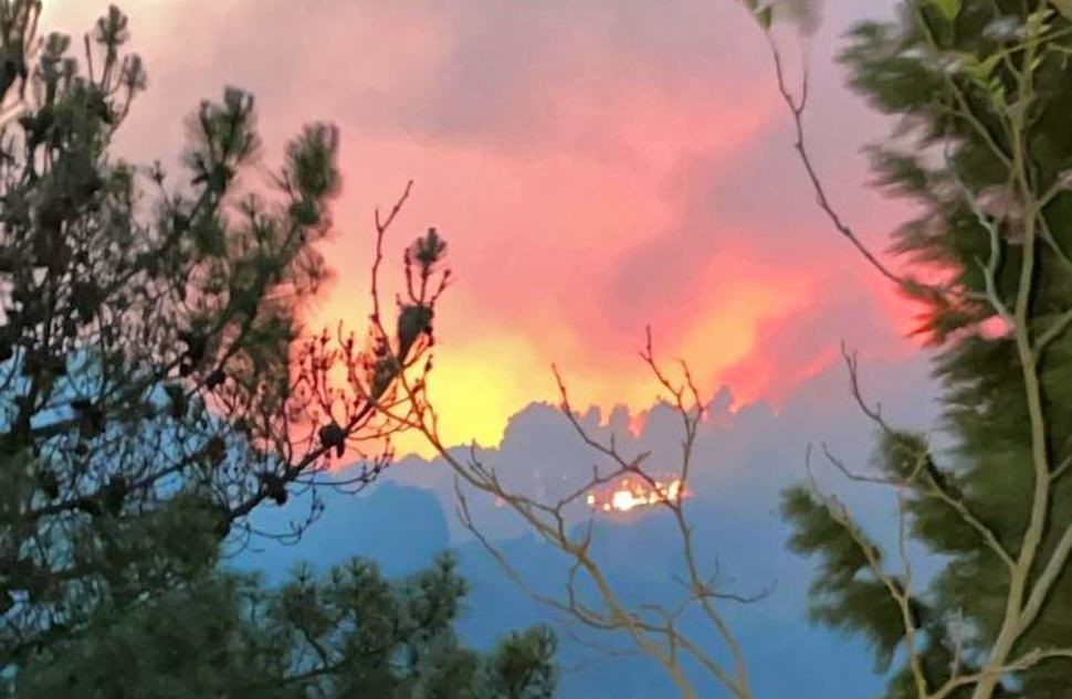 Aspromonte senza tregua, due nuovi roghi impegnano uomini e mezzi 51 Incendi aspromonte 2