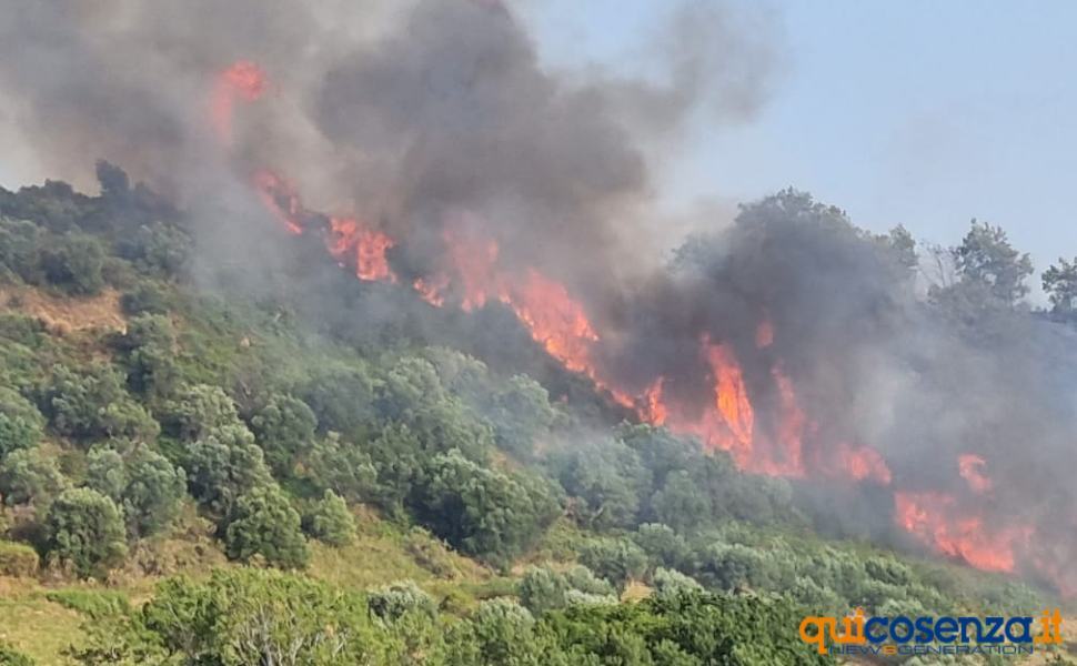 Incendi, deliberato lo stato di emergenza. Subito 2 milioni per la Calabria 51 Incendi nuova 02