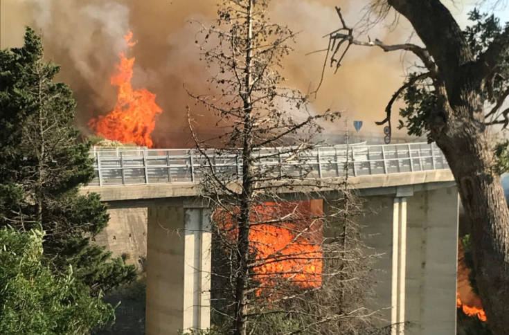 Incendio indomabile colpisce Catanzaro, a rischio due parchi pubblici 188 Incendio 1 1 3