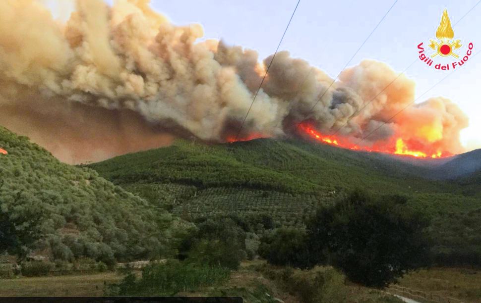 Provoca un incendio in Sila, poi si autodenuncia "sono stato io". Ora è indagato 51 Incendio 25