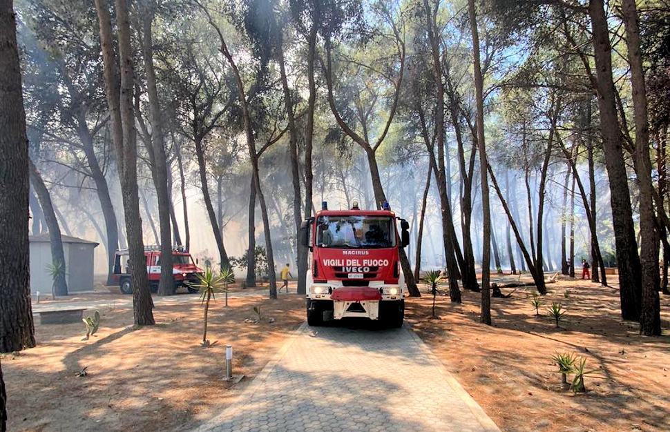 In fiamme una pineta a Cassano, paura per un villaggio turistico 51 Incendio Cassano2