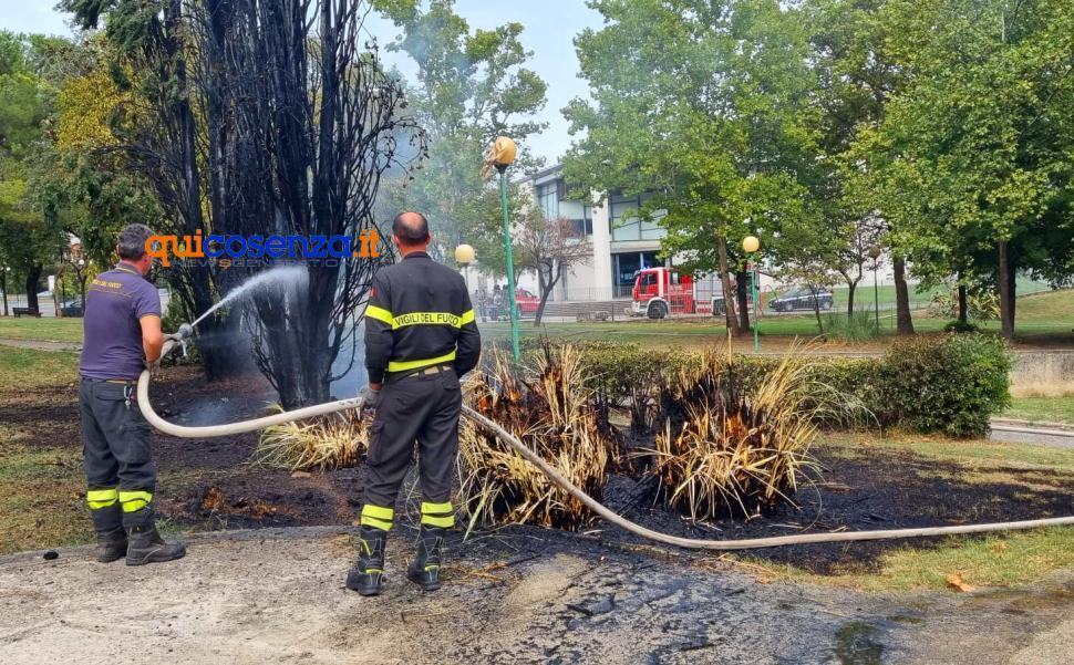 Scoppia un incendio all'interno del Parco Robinson. Subito spento dai vigili del Fuoco 51 Incendio Parco Robinson