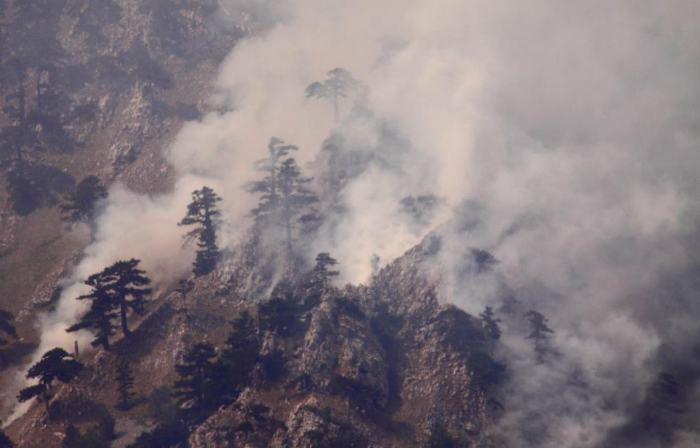 Incendio Pollino