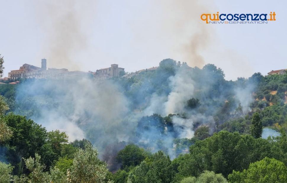 Rende, in fiamme una collina ai piedi del centro storico. Opera anche un elicottero 51 Incendio Rende 2