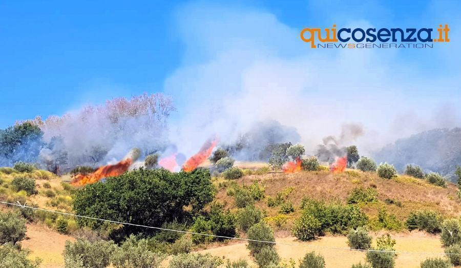 Incendio Rende01