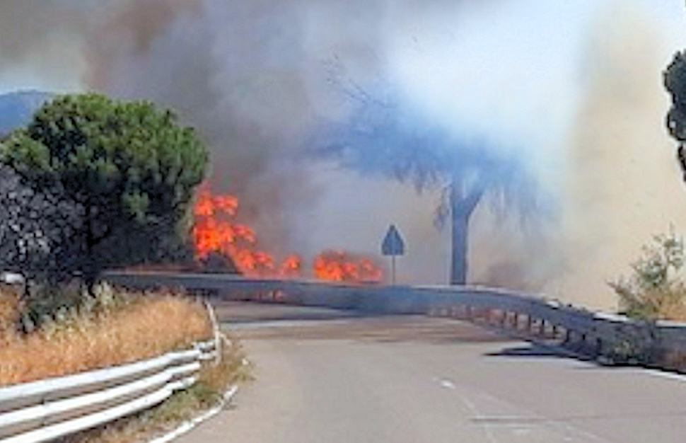 Incendio Roseto ok