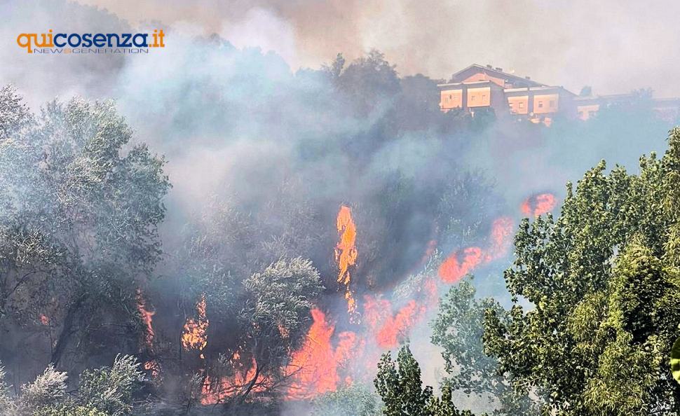 Vasto rogo a Sant'Agostino, fiamme a ridosso delle case. Chiesto l'intervento aereo 51 Incendio SantAgostino Rende01